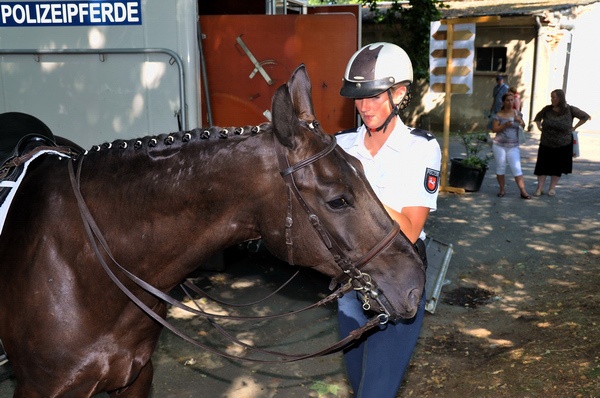 Polizeidirektion   133.jpg